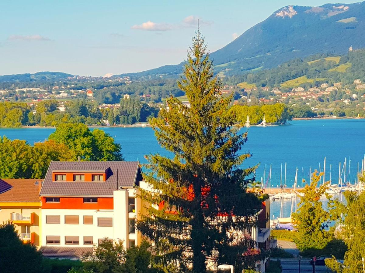 Corniche Joli T2 A 300 M Du Lac Avec Parking Prive Annecy Exterior photo
